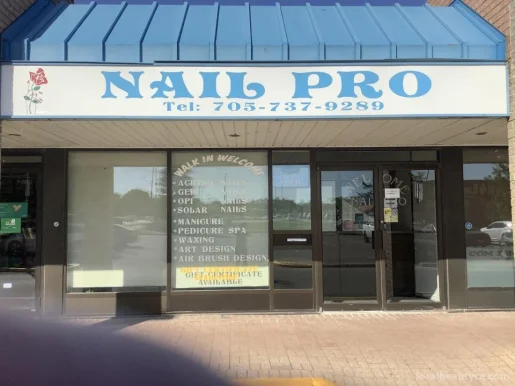 Nail Pro, Barrie - Photo 2