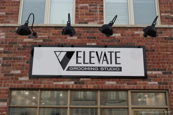 Elevate Grooming Studio, Brampton - Photo 4