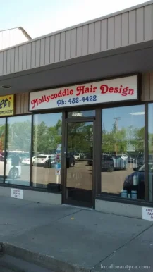 Mollycoddle Hair Design, Edmonton - 