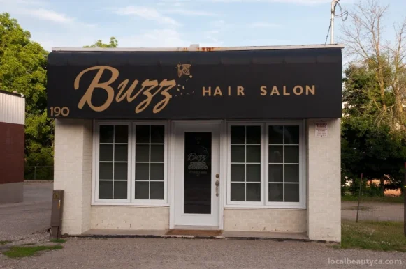 Buzz Hair Salon, Guelph - 