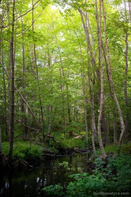 Shaw Wilderness Park, Halifax - Photo 1