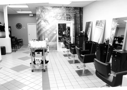 Meadowvale Hair Salon Inc., Mississauga - Photo 1
