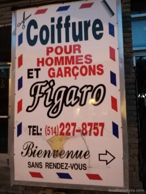Figaro Coiffure pour Hommes et Garçons, Montreal - Photo 3