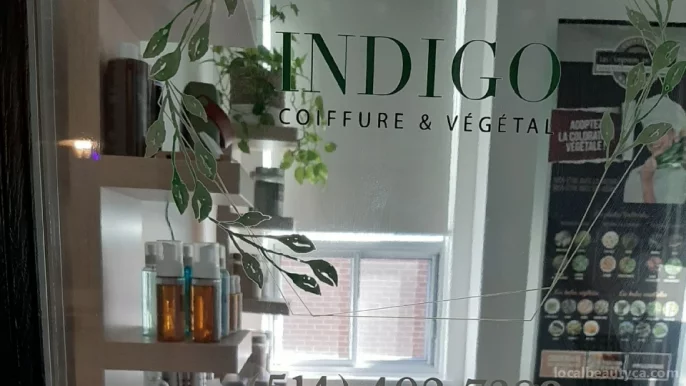 Indigo coiffure et végétal, Montreal - Photo 2