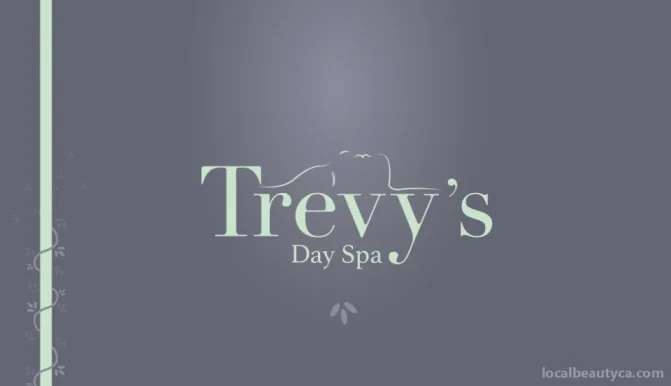 Trevy's Day Spa, Niagara Falls - 