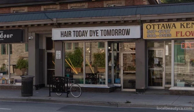 Hair Today Dye Tomorrow, Ottawa - Photo 3