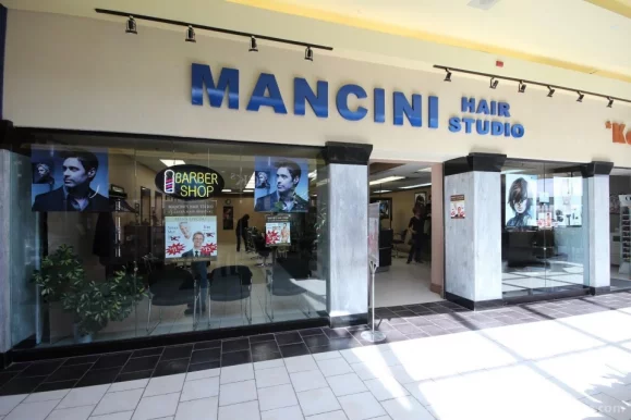Mancini Hair Studio, Ottawa - Photo 2
