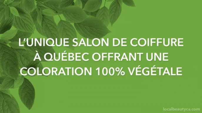 Ocalm - Coiffure au végétal, Quebec City - Photo 4