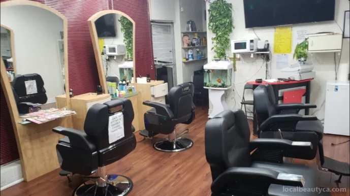 Higher Level Canadian Hair Salon Inc., Toronto - Photo 1