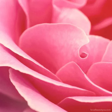 Lotus Blossom Healing Arts, Toronto - Photo 1