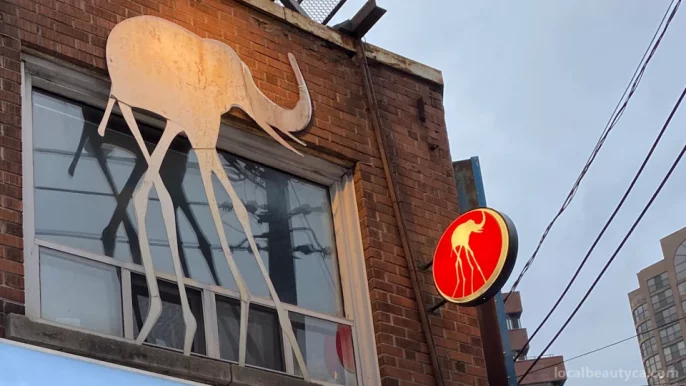 Salon de elephant, Toronto - Photo 4