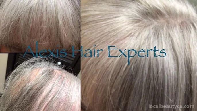 Alexis Hair Experts, Toronto - Photo 4