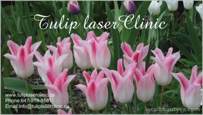Tulip Laser Clinic, Toronto - Photo 1