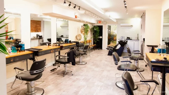 Level 10 Hair Studio, Toronto - Photo 4