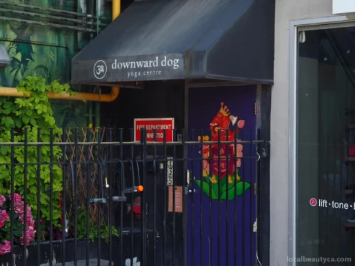 Downward Dog Yoga Centre, Toronto - Photo 3