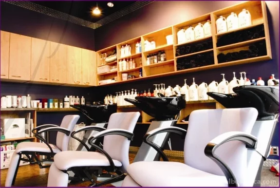 Ambience Hair Studio, Winnipeg - Photo 2